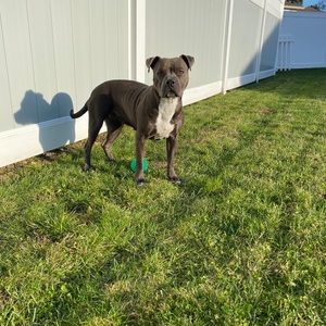 Meet your Posher, Angela